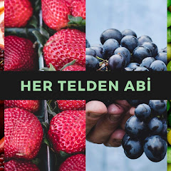 Her Telden Abi