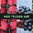 zDMeZLI8uXQ-channel-avatar-Her Telden Abi