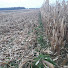 rbwwQKy4TlI-channel-avatar-Jon Stevens Maple Grove Farms