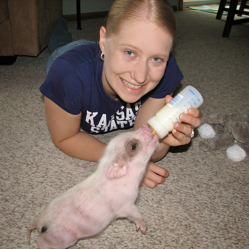 PiggyGirl2010