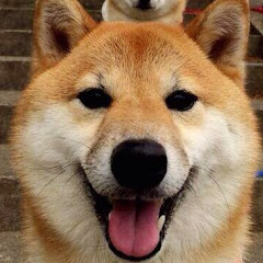 かわちい