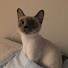 b_scnEGK5bI-channel-avatar-Bell