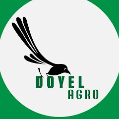 Doyel Agro net worth