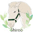 W2-Cp1s_hfA-channel-avatar-シロー