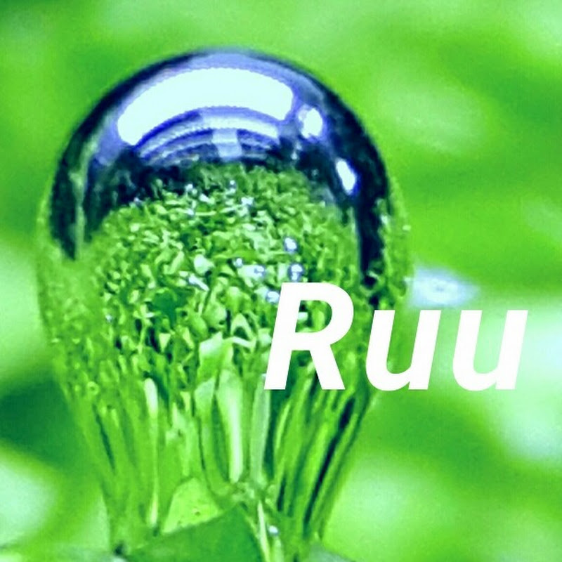 RuuAqua icon