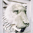 fkBA43bcjqQ-channel-avatar-Wembley Park Studios