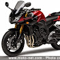 afcachorro75107892