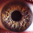@crswro1690's avatar