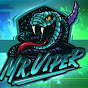 MR VIPER logo