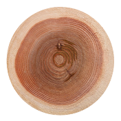 丸太は持ったな!!