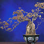 Món ngon mỗi ngày HTP Image Thumbnail