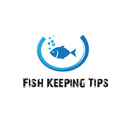 Fish Keeping Tips