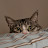 @user-lo2uc9vw9t