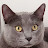 @curtbrown9702 Avatar