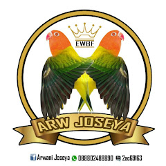 ARWANI JOSEYA