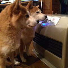 エボルブボディ