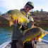 BKwRqIPMWso-channel-avatar-Fishing with the Captain