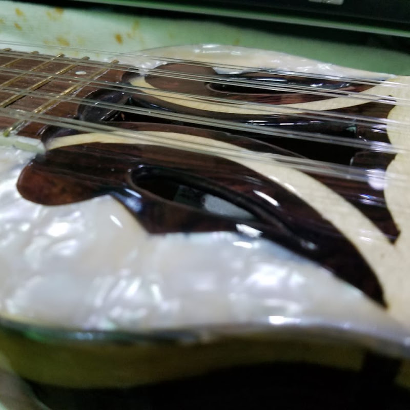 TOROGOZ LUTHIERS. Logo