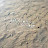 @شهيواتإيمان-غ8ل