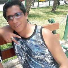 Michel D Santos