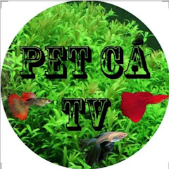 Cá Quý TV channel logo