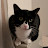 @merinoboyo's avatar
