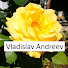 yzfY_8QKthw-channel-avatar-Vladislav Andreev