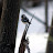 @naturalsolitude Avatar