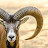 @hat-eating-cthulu-goat3221