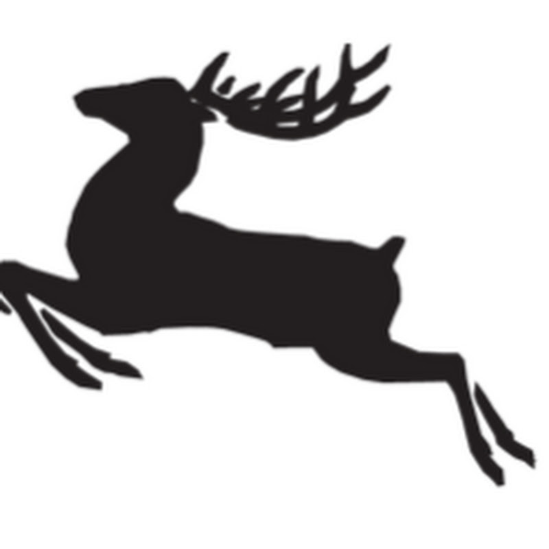 Optical Mechanic Logo