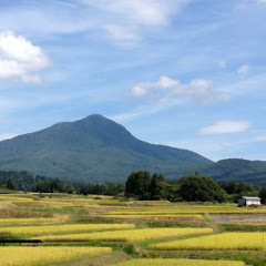 や