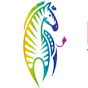 TheChannelzebra logo