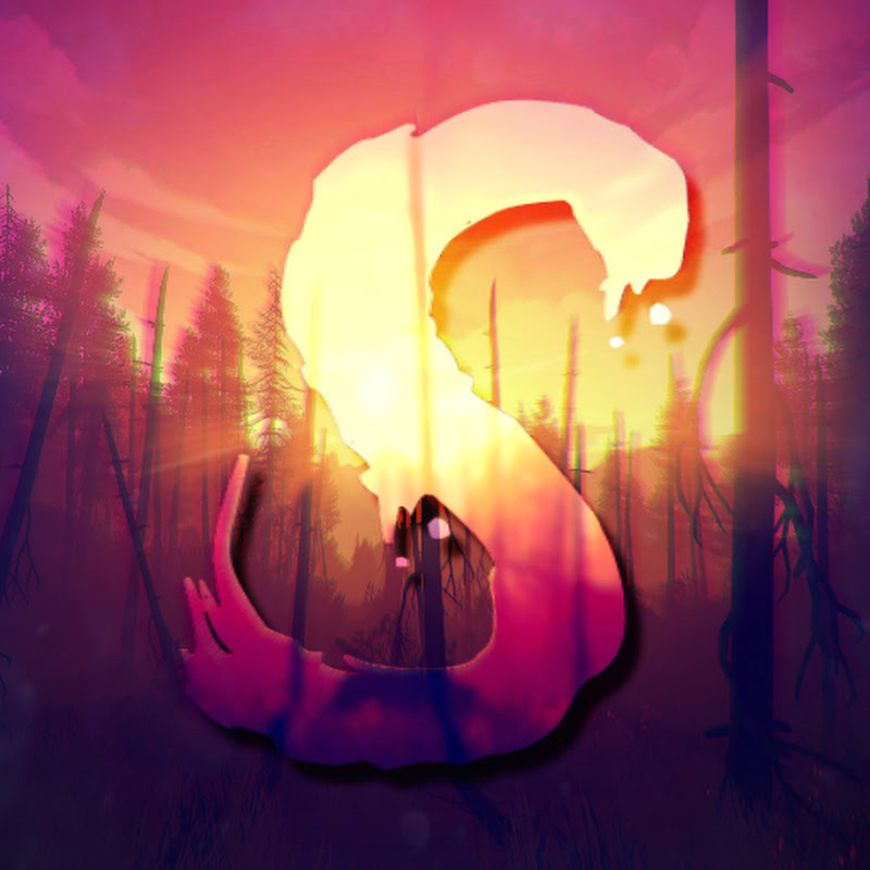 SareXp icon