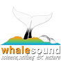 whalesound logo