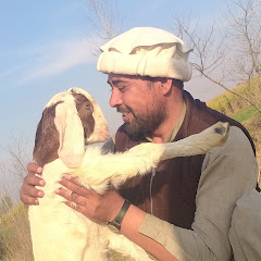 Asim Jee
