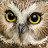 @StrixTechnica's avatar