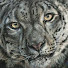 5zYKwANF6_w-channel-avatar-Suzanne Moseley Fine Art