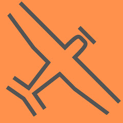 FlightInsight net worth