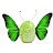 @cabbagebutterfly800