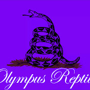 Olympus Reptiles