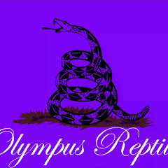 Olympus Reptiles Avatar