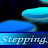 Stepping Stones Project