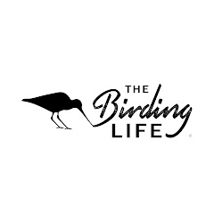 The Birding Life Avatar