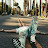 @adolfoty-p7545