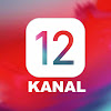 What could 12- KANAL buy with $113.4 thousand?