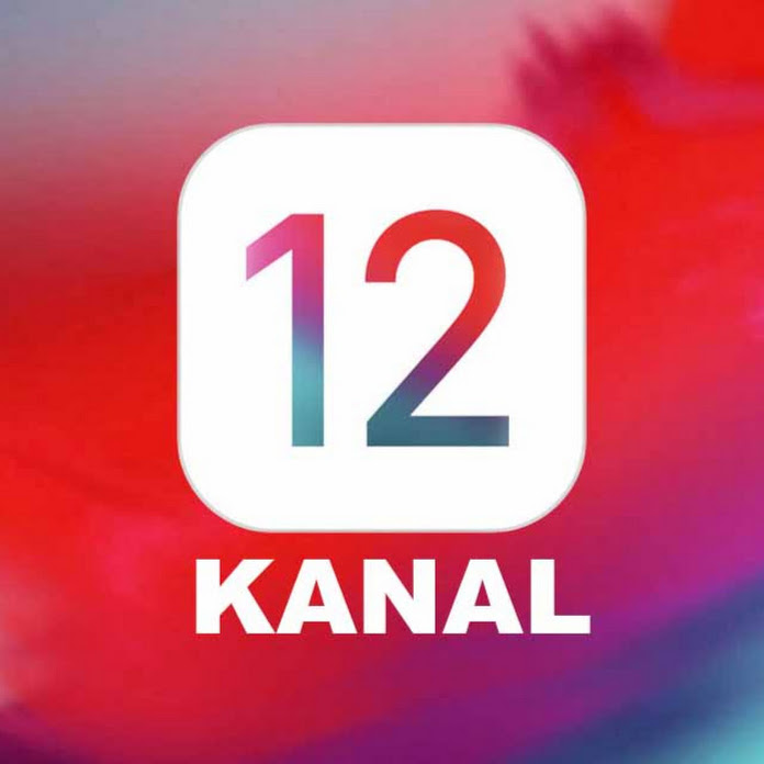 12- KANAL Net Worth & Earnings (2025)