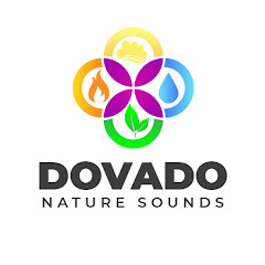 DOVADO avatar