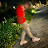 Avatar de @Noloveducky45