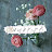 @mohsenabuhashima8328