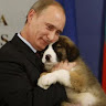 Автор
